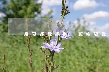 房贷还款逾期 影响贷款 房贷还款逾期 影响贷款